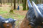 Sommerparcour Bild 6