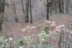 Parcourumbau Bild 6