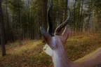 Herbst-/Winterparcours 2017/18 Bild 40