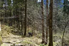Sommer-/Herbstparcours 2018 Bild 15