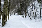 Winter 2018/19 Bild 23