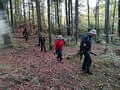 Vereinsmeisterschaft 2023 Bild 14