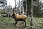 Turnierbesuch Iseltal Bild 16