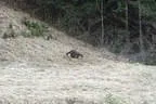Härtetest Kufstein Bild 6