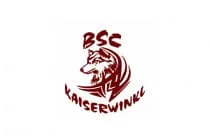 Alptraum-Turnier-JBC-Gastein-2025